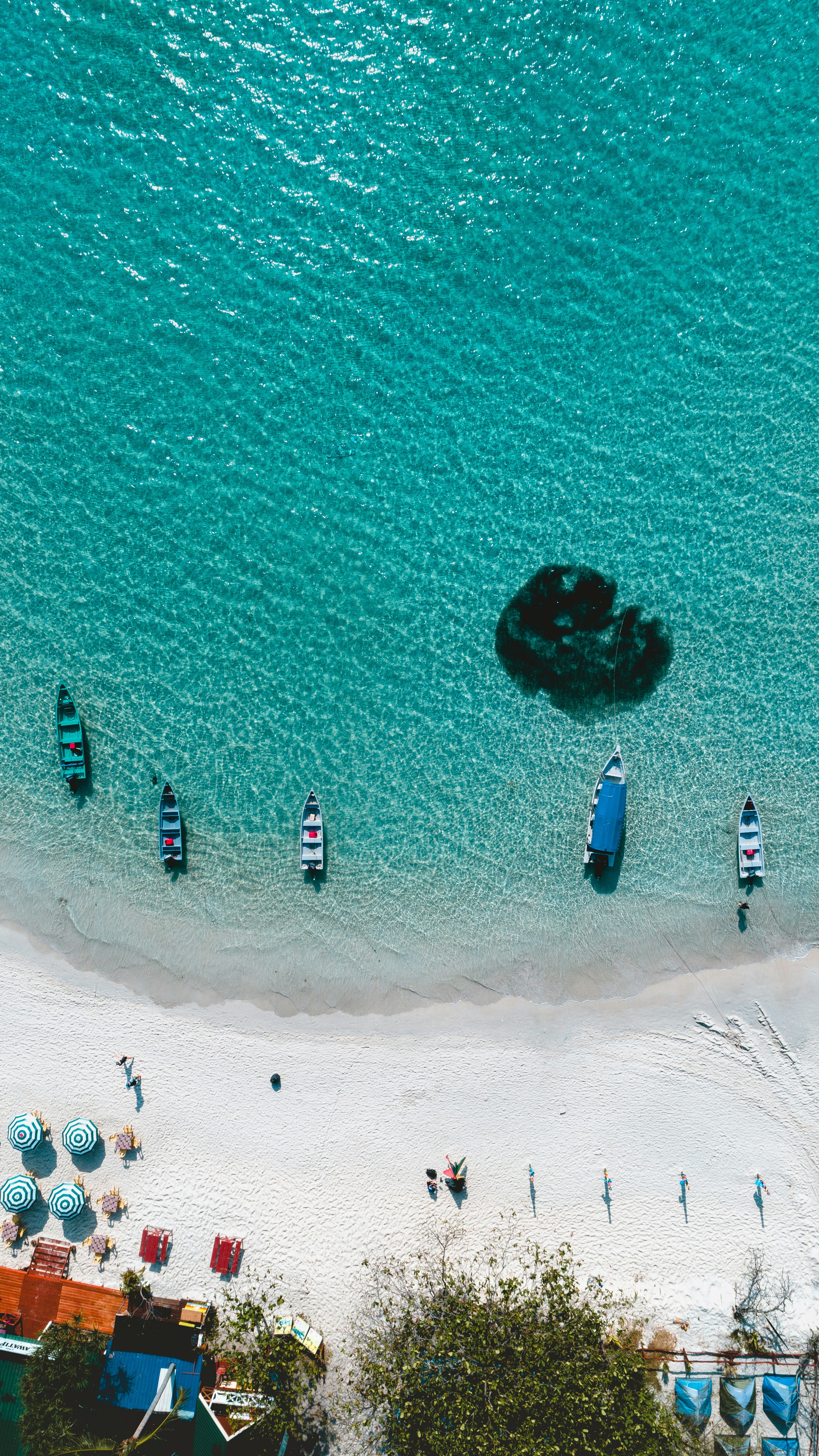 aerial photo of beach